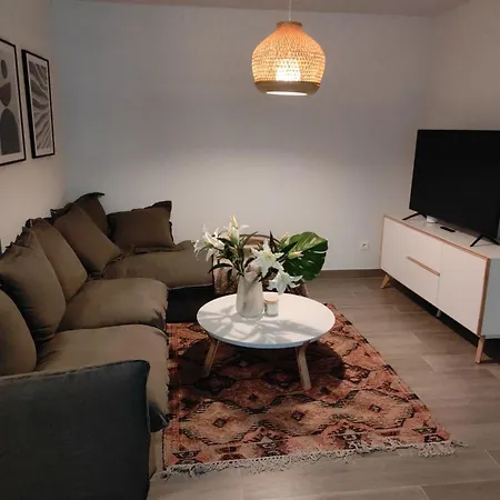فيلة Royal Palm 36